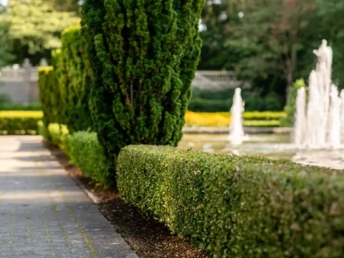Commercial and Strata Landscape Design