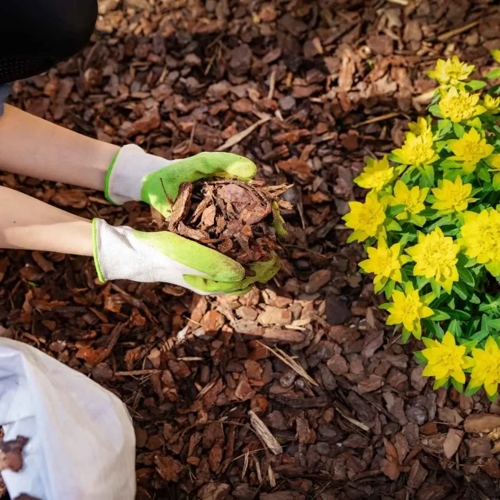 Mulch Supply