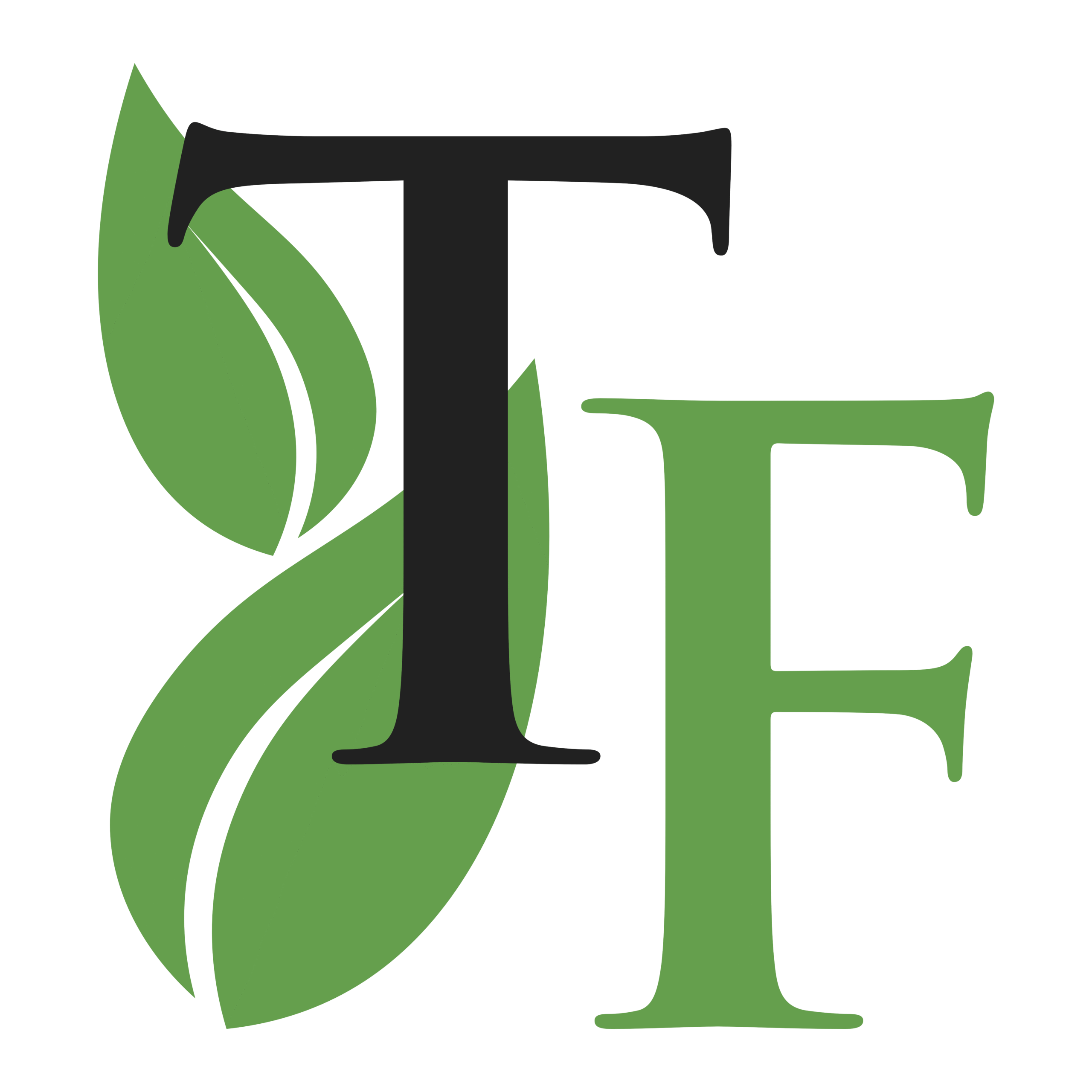 The Terra Firma logo stands for a reputable landscaping and maintenance business dedicated to providing high-quality services.