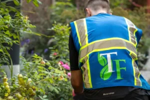 Terra Firma Lawn and Garden Services photo 6