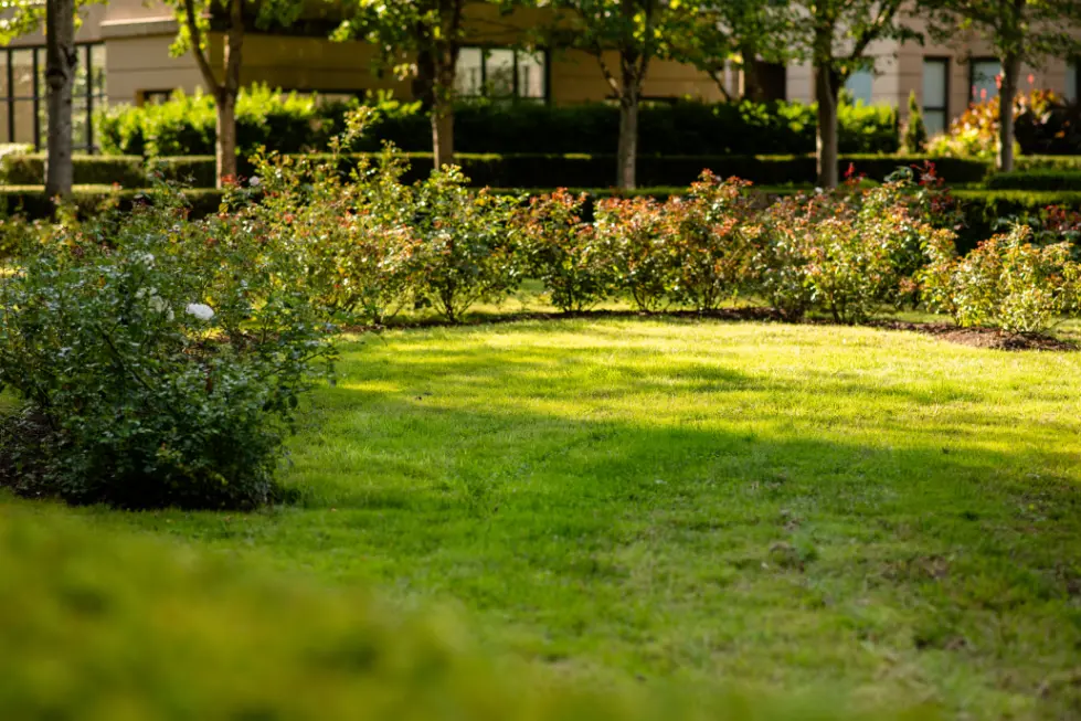 Strata Lawn Care Service