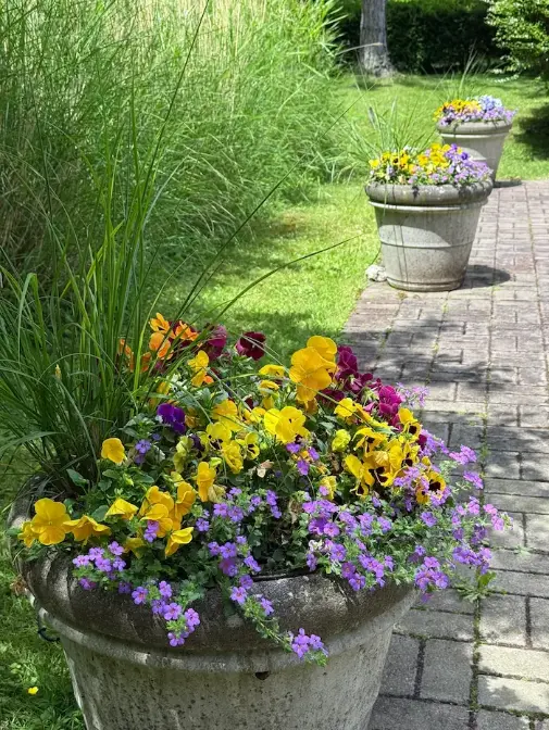 Beautiful landscape design in a contemporary residential garden with tiered plants, a stone walkway, and a well-kept lawn