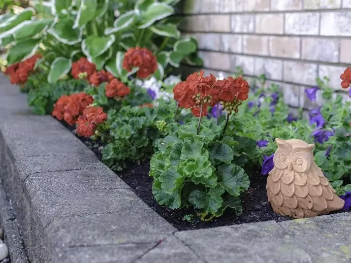owl-garden-2